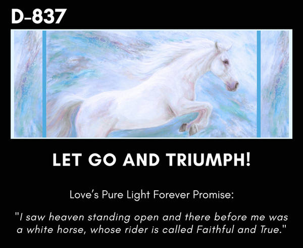 LET GO AND TRIUMPH SILK SCARF